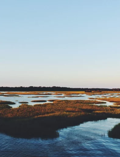 Kayak eco tour or fishing trip in the Hammock Coast